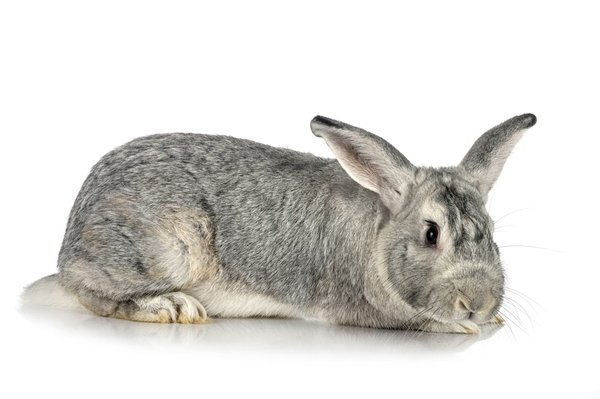 What's the Best Tire Inflation Kit for a Chevrolet Bolt EV with No Spare Tire?