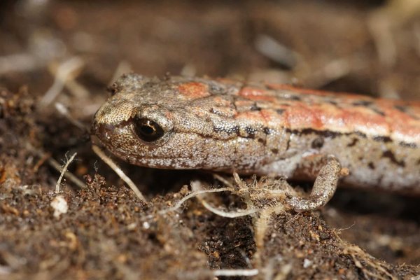 How to Mitigate the Impact of Construction Noise in Dense Urban Real Estate Projects?