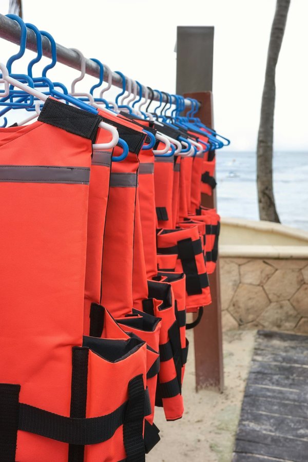 How to Choose the Appropriate Size and Type of Life Jacket for Your Dog's Water Activities?